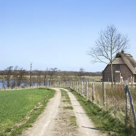 Luxus - Ostseeferienhaus Sandbank