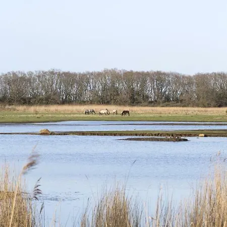 Luxus - Ostseeferienhaus Sandbank Pommerby (Gelting)