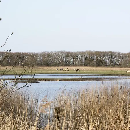 Luxus - Ostseeferienhaus Sandbank Pommerby (Gelting)